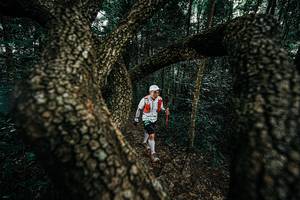 BIB: 
                            <button type="button" onclick="openModal(25393608)" class="btn btn-primary btn-sm float-right btn-popup" data-toggle="modal" data-target=".modal-high-quality">
                        <i class="fas fa-shopping-cart"></i> Add to Cart
                    </button>
                                            <button type="button" onclick="isThisMe(25393608, true)" class="btn btn-success btn-sm float-right btn-popup btn-isme hidden" data-toggle="tooltip" data-placement="bottom" title="นี่คือรูปของคุณใช่ไหม คลิกที่นี่เพื่อเอาเข้าอัลบั้ม">
                        <i class="fas fa-plus"></i> Add to album
                    </button>
                    <button type="button" onclick="isThisMe(25393608, false)" class="btn btn-warning btn-sm float-right btn-popup btn-isnotme hidden">
                        <i class="fas fa-ban"></i> Remove from album
                    </button>